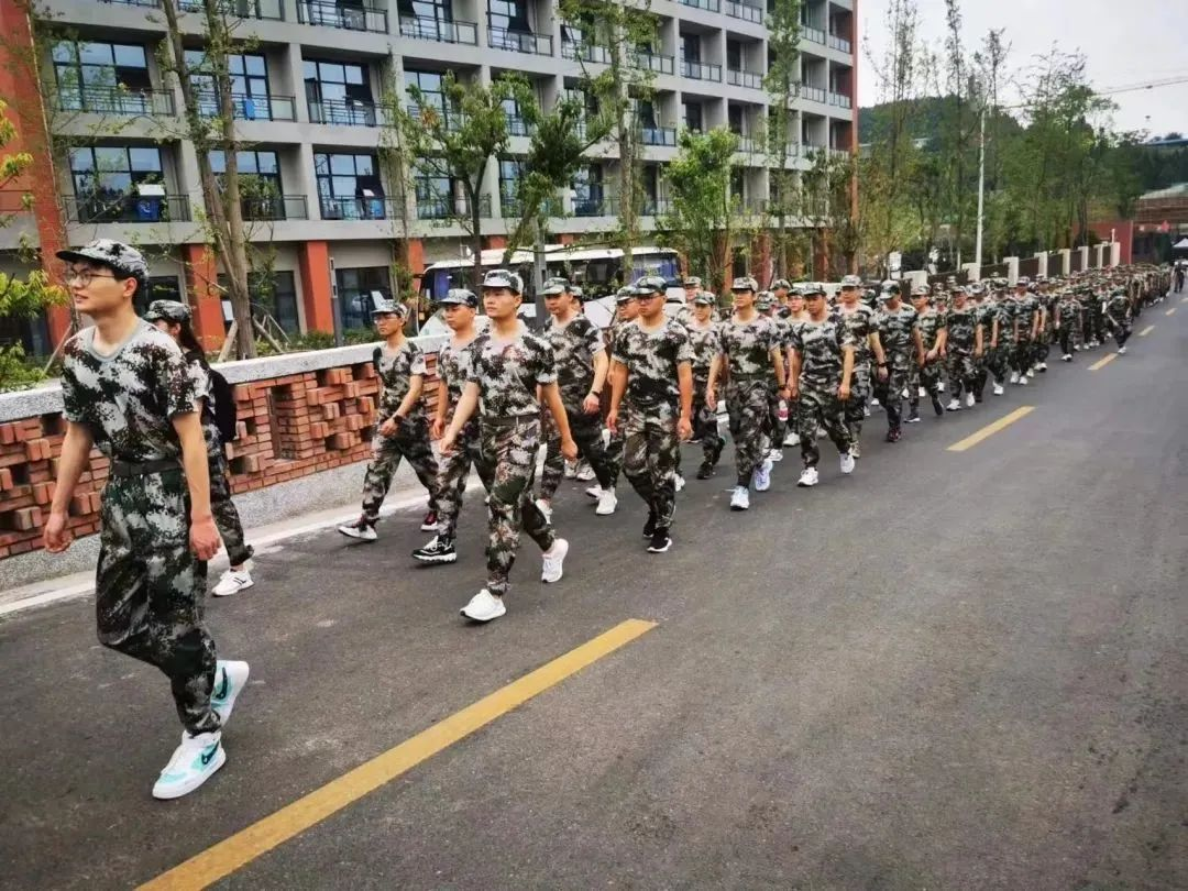 lqojq74c6v.png 圖片5